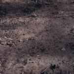 The WindSlice - Mini EDC Titanium Folding Utility Knife - Image 6